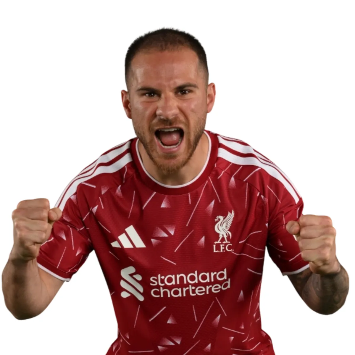 alexis-mac-allister